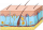 الجلدية